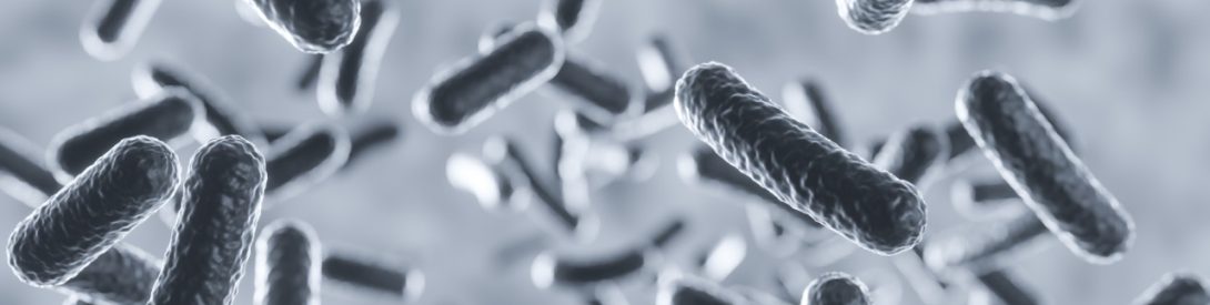 Microorganism cells floating inside human body under microscope, 3d rendering Bacteria organisms biological scientific background, salmonella disease concept 3D illustration