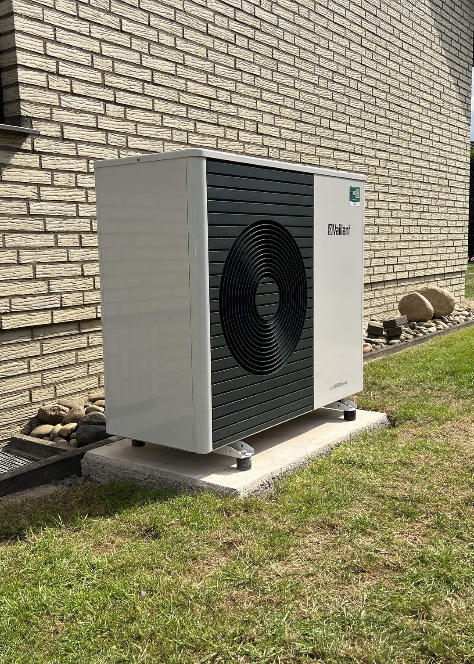 IMG_8790 (1) IMG_8790 (1)